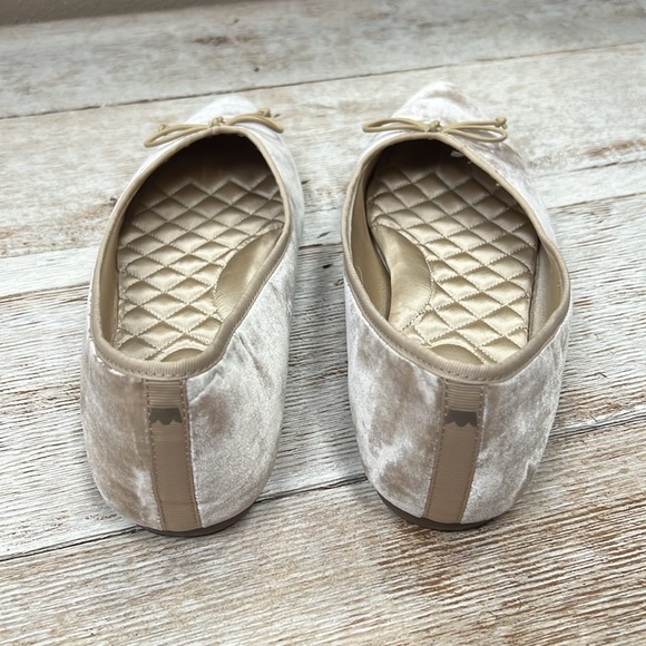 Birdies Goldfinch Pointed Toe Ballet Flat Shoe - Picture 4 of 8